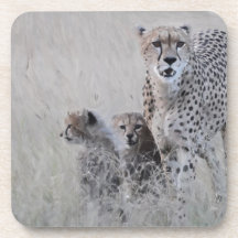 Leopard och henne ungar underlägg