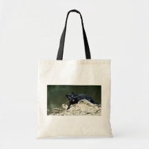 Leopard-svart arrangera gradvisunge kasse