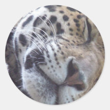 Leopardbildklistermärke