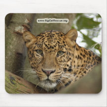 LeopardCheetaro002 kopierar Mus Matta