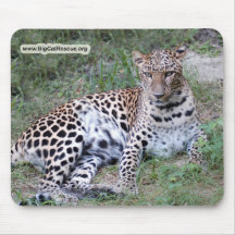 LeopardSundari_009 kopierar Mus Mattor