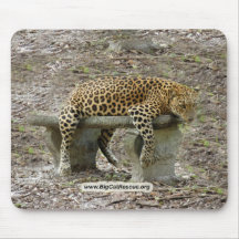 LeopardSundari_010 kopierar Musmattor