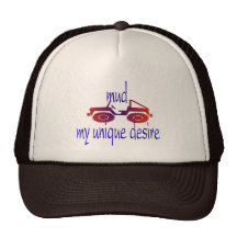 lerahatt baseball hat