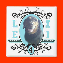 LEXI-MAGNET magneter