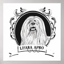 LHASA APSO (2) PRINT