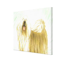 Lhasa Apso Canvasduk Med Gallerikvalitet