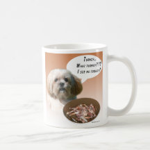Lhasa Apso Turkiet Muggar