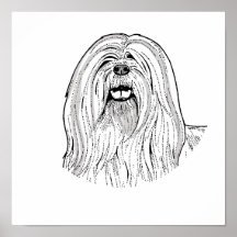 LHASAEN APSO POSTERS