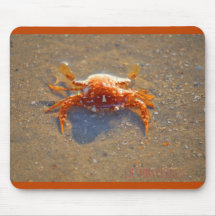 Lil Crabby Fröcken Musmatta