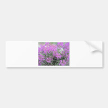 LILA BLOMMOR BILDEKALER