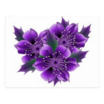 lila blommor vykort