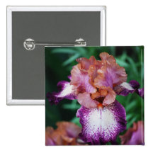 Lila- & vitIris. Knappar