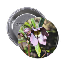 Lilablomman knäppas emblem pins