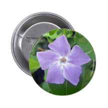 Lilafärgadblomma Knapp