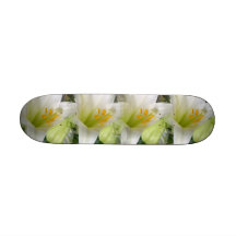 Liljavit Skate Board