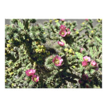 Lilla rosa blommor på kaktusväxtblommor personliga inbjudan