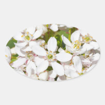 Lilla vitvildblommor klistermärken