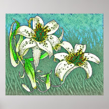 lilly_2 posters