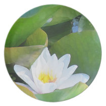 Lilypad pläterar tallrikar