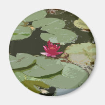 Lilypads Impressionismkonst Kylskåps Magneter