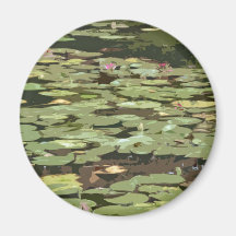 Lilypads Impressionismkonst Kylskåpsnagnet