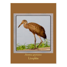 LImpkin Vykort