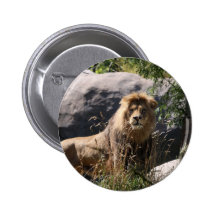 LION PINS