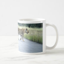 Lioness och ungemugg muggar