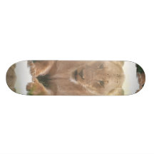 Lionessen profilerar skateboarden