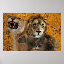 Lions i aspaffisch