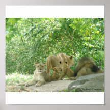 Lionsfamilj Affischer