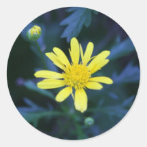 lite gul blommaklistermärke