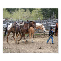 Lite ledande hästar 8x10 för Cowboy Fototryck