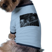 Lite Princess 2 Hund Tee