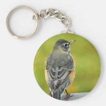 Lite Robin Keychain Nyckelringar