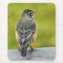 Lite Robin Mousepad Musmatta