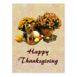 Lite valp thanksgivingvykort