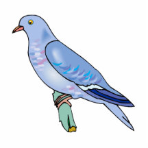 Liten pastej Pigeon.png Photo Sculpture