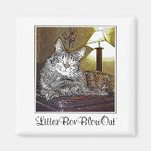 LitterBoxBlowOut Magnet