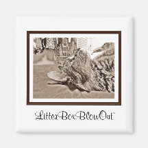 LitterBoxBlowOut Magnet