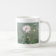 LittleDaisy Kaffe Kopp