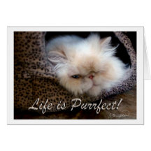 Liv är Purrfect Kort