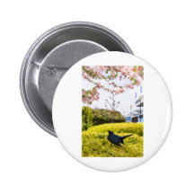 Liv är tweeten pins