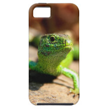 Lizard Etui Fürs iPhone 5