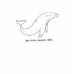 LJ Tees - North Atlantic Humpback