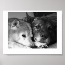 Ljud- och Baloo Posters