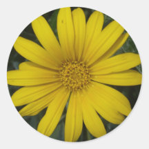 ljus gul blommaklistermärke