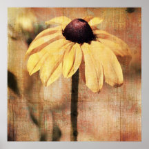 Ljus svart synad Susan blomma Print