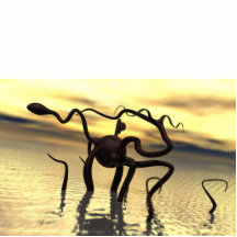 Loch Nessmonster! (vattenmonster) Photo Cut Outs