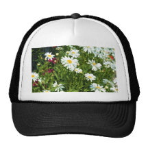 Lock för Shasta daisy Baseball Hat